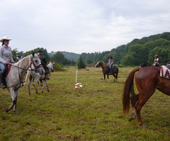 Fotogaléria / Jazdecká akadémia 2014