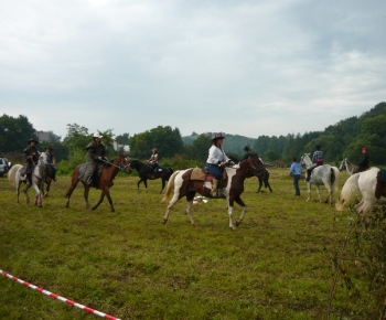 Fotogaléria / Jazdecká akadémia 2014