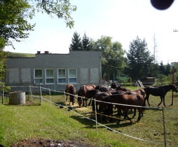 Fotogaléria / Jazdecká akadémia 2014