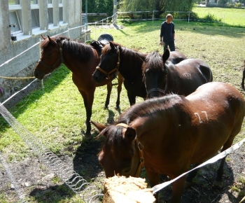 Fotogaléria / Jazdecká akadémia 2014