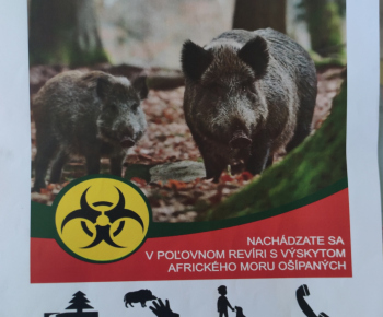 Aktuality / AFRICLÝ MOR OŠÍPANÝCH