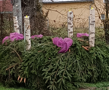 Fotogaléria / Vianočná ikebana