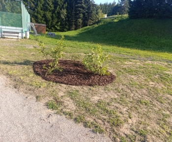 Aktuality / Revitalizácia a obnova verejného priestranstva v obc
